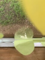 54A24D1D-0695-43EB-AF40-ADD9166A666C.jpeg