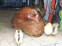 DSCN0758.JPG