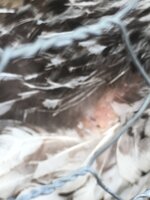 640A4FF8-133F-483C-B0F7-DCEE3C569547.jpeg