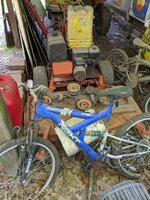 IMG_20200517_171317.jpg