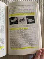 4AF3E0ED-C09D-4996-A245-FE804097E931.jpeg