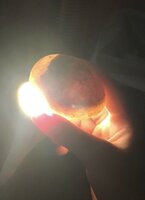 3547060C-6305-4488-B329-845D3E030DD2.jpeg