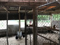 IMG_0805.JPG
