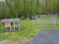 Chicken coup and kennel for the chickens.jpg