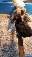 20200515_100321.jpg