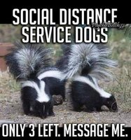 FB_IMG_1589847499081.jpg