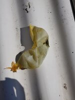 20200518_101444.jpg