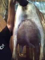 IMG_20200516_080845591.jpg
