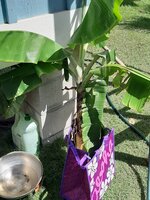 20200519_100824.jpg