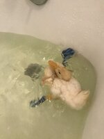 F214E9E1-BC2F-4968-B61C-4D514E36A84C.jpeg