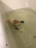 FB30F9CE-48CA-44D3-8053-821ABF2929FA.jpeg