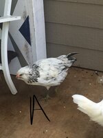 567DBBEF-4D00-4821-AF77-CF1B02F234D7.jpeg