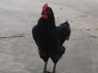 20200521_082204.jpg