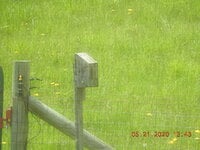 DSCN2004.JPG