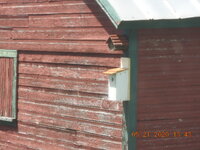 DSCN2005.JPG