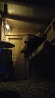 20190527_203434-2.jpg 20190527_203434-2.jpg