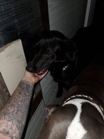 20200521_200921.jpg