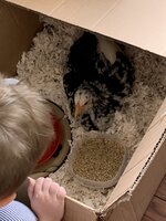 0435E552-736F-469E-905F-9D14D039676D.jpeg