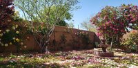 20200405_145858.jpg
