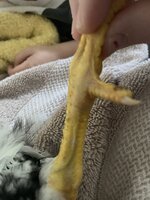 DB0BA081-1C59-4F12-9076-DB20E4FF58BB.jpeg