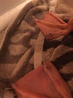 D31CC988-BE40-4D6D-B660-39D1D43A6F35.jpeg