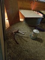 20200523_140226.jpg