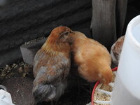 DSCN3824.JPG