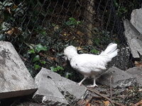 20200527_084650.jpg