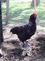 20200527_112515.jpg