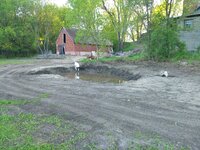 IMG_20200520_200218096.jpg