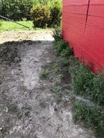 Groundbefore.jpg
