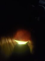 20200529_004431.jpg