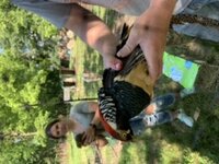 C8D46EFF-4397-4BA6-81AA-63553972F9AC.jpeg