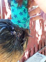 20200531_115604.jpg