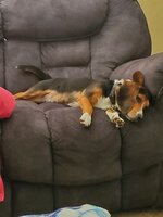 20200420_133303.jpg