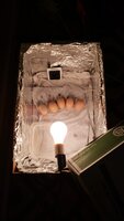 3F45E1ED-9D38-4AB2-BDC9-C3081EA30205.jpeg