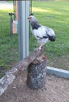 0530201925-1.jpg