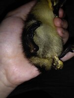 IMG_20200531_143543.jpg