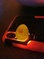 IMG_20200601_205226.jpg