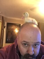 5EEDCAA8-A6DB-4992-B03A-85FC67FD8B8F.jpeg