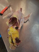 20200603_130346.jpg