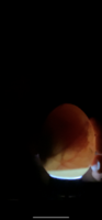 4667FB6D-0802-460A-825B-2EF425311492.png