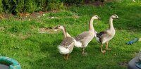 20200603_184313.jpg