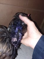 20200604_212719.jpg
