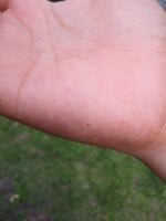20200604_172512.jpg