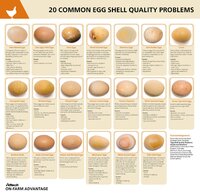 4159b86bf25abd8efc532b2e6e626a68.jpg