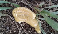 20200606_090349.jpg