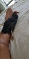 20200531_131608.jpg