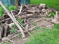 20200606_103218.jpg