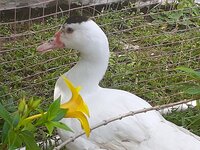 20200528_104851.jpg
